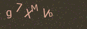 Validation image